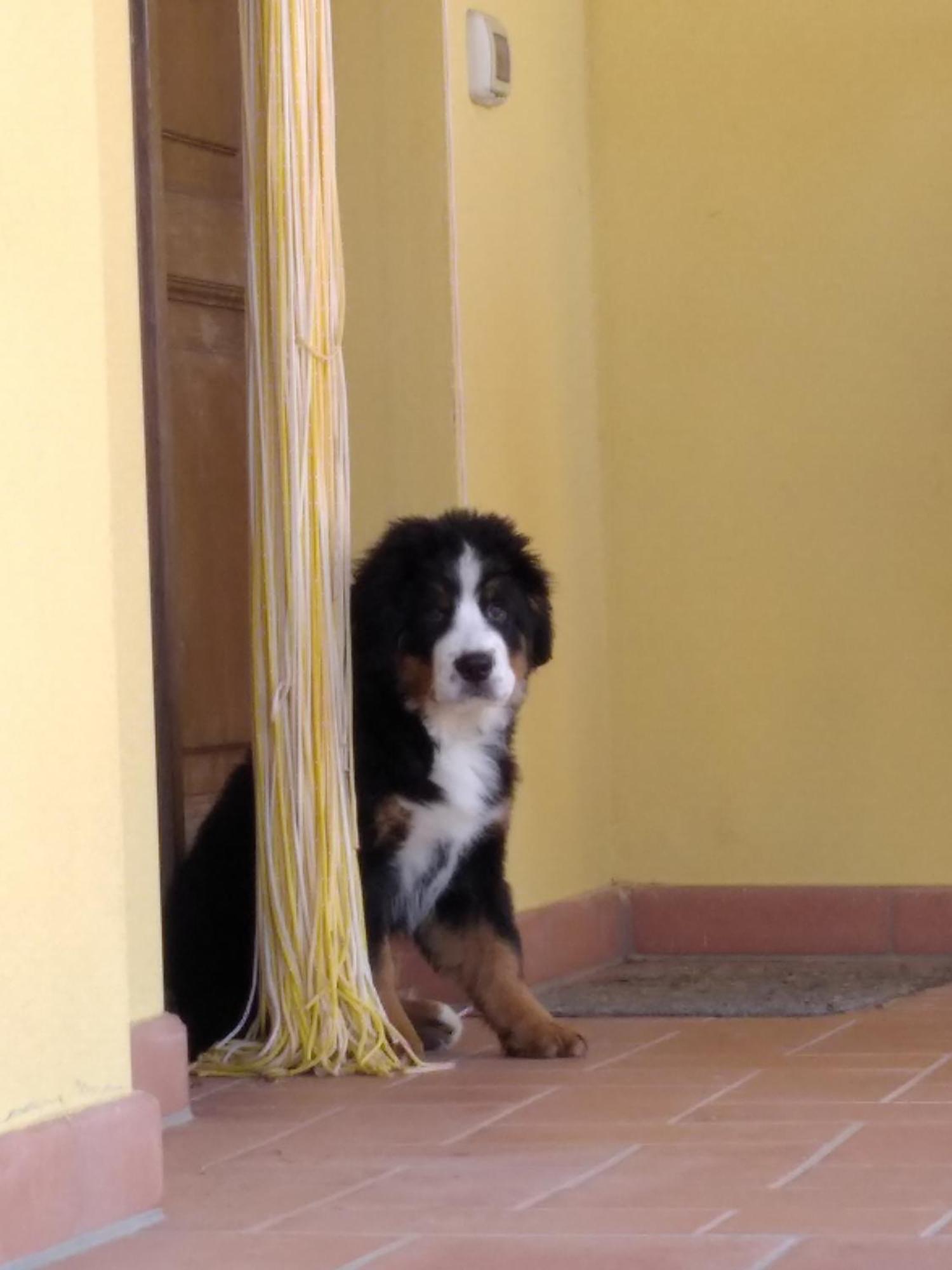 La Casa Di Cleo Casa vacanze
