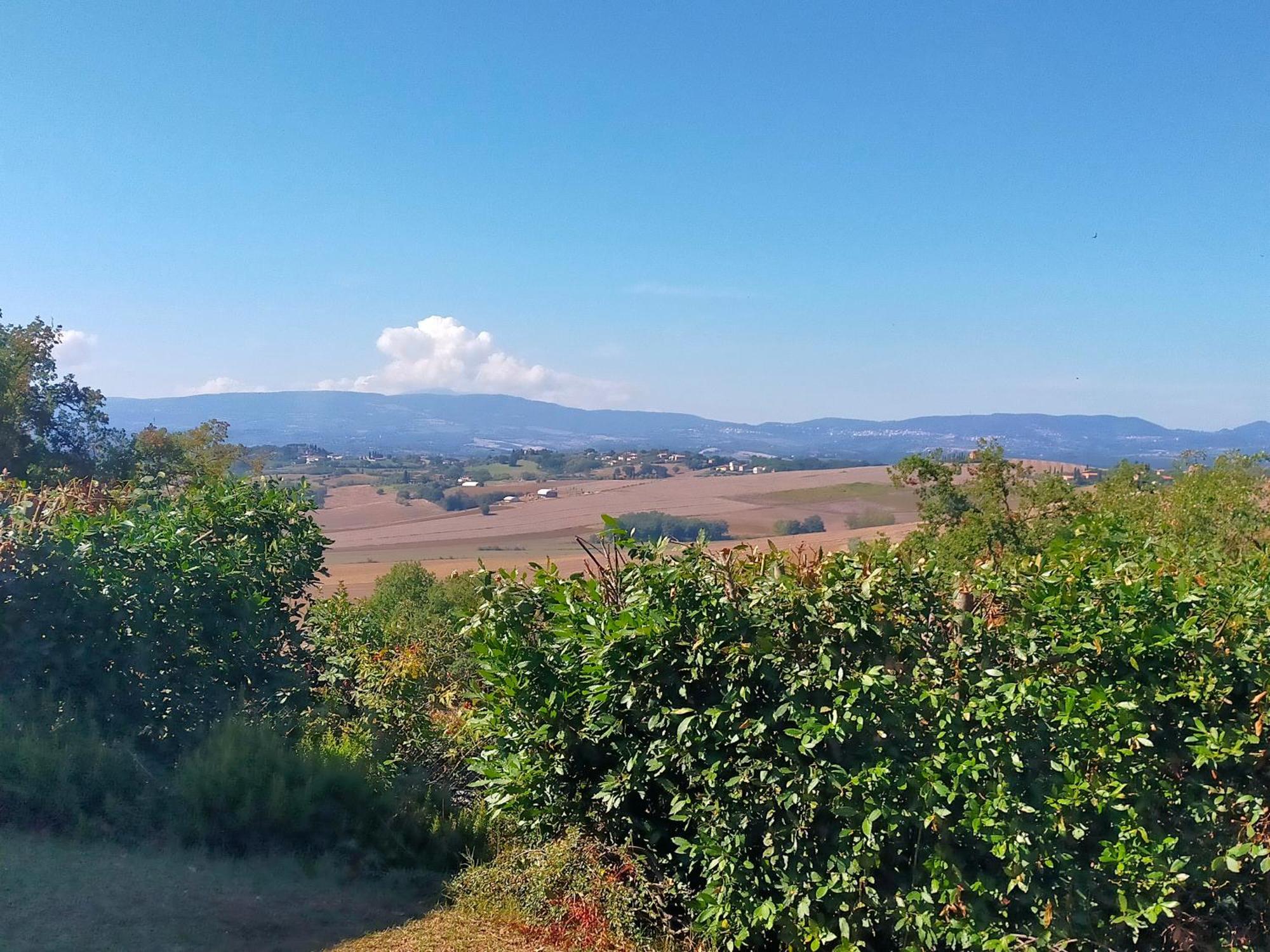 La Casa Di Cleo Casa vacanze Castiglione del Lago